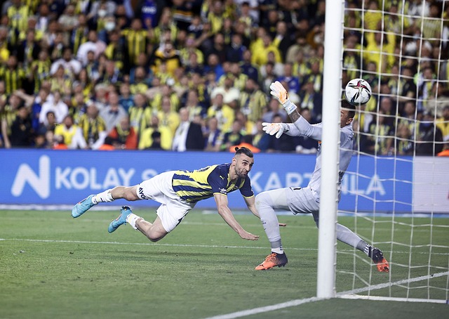 个由雄伟表 个由雄伟表