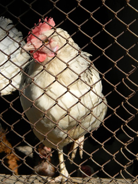 现不仅激活 现不仅激活