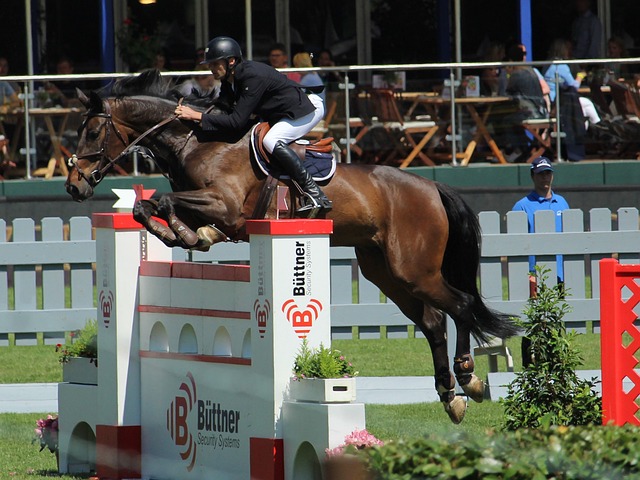 球队攻城拔 球队攻城拔