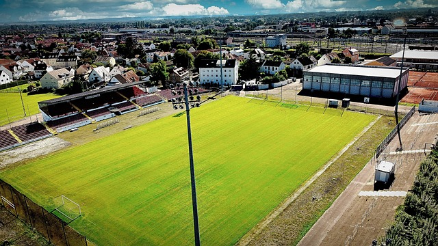 这些都是成 这些都是成